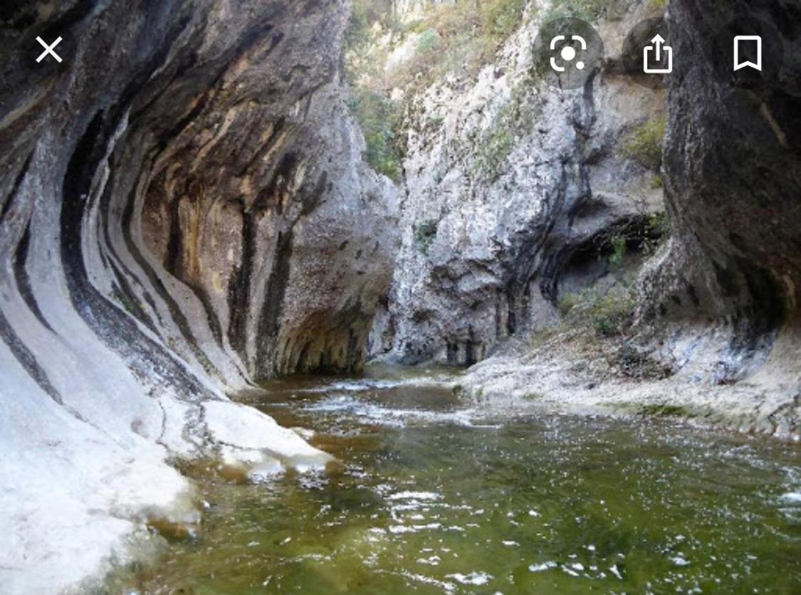 Gite Les Oliviers 10 Pers Piscine Au Calme 4 Etoiles Saint-Laurent-la-Vernède Exteriör bild